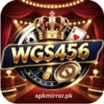 WGS456 Game